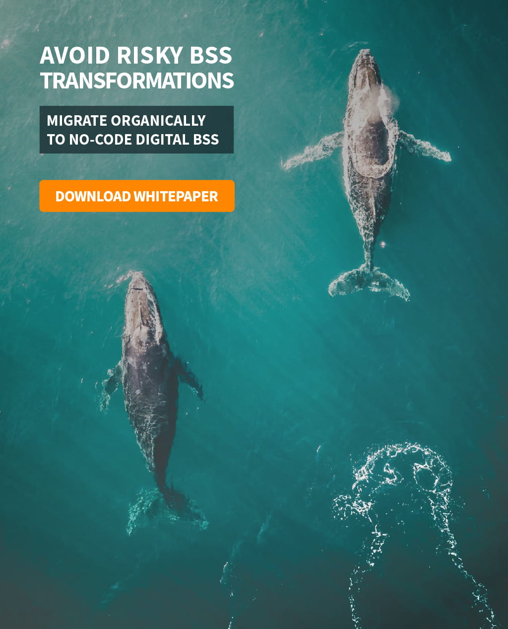 qv.com-digital-transformation-v2_sq